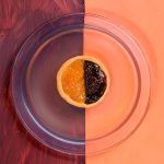 B0014335 - crostata sfondo doppio